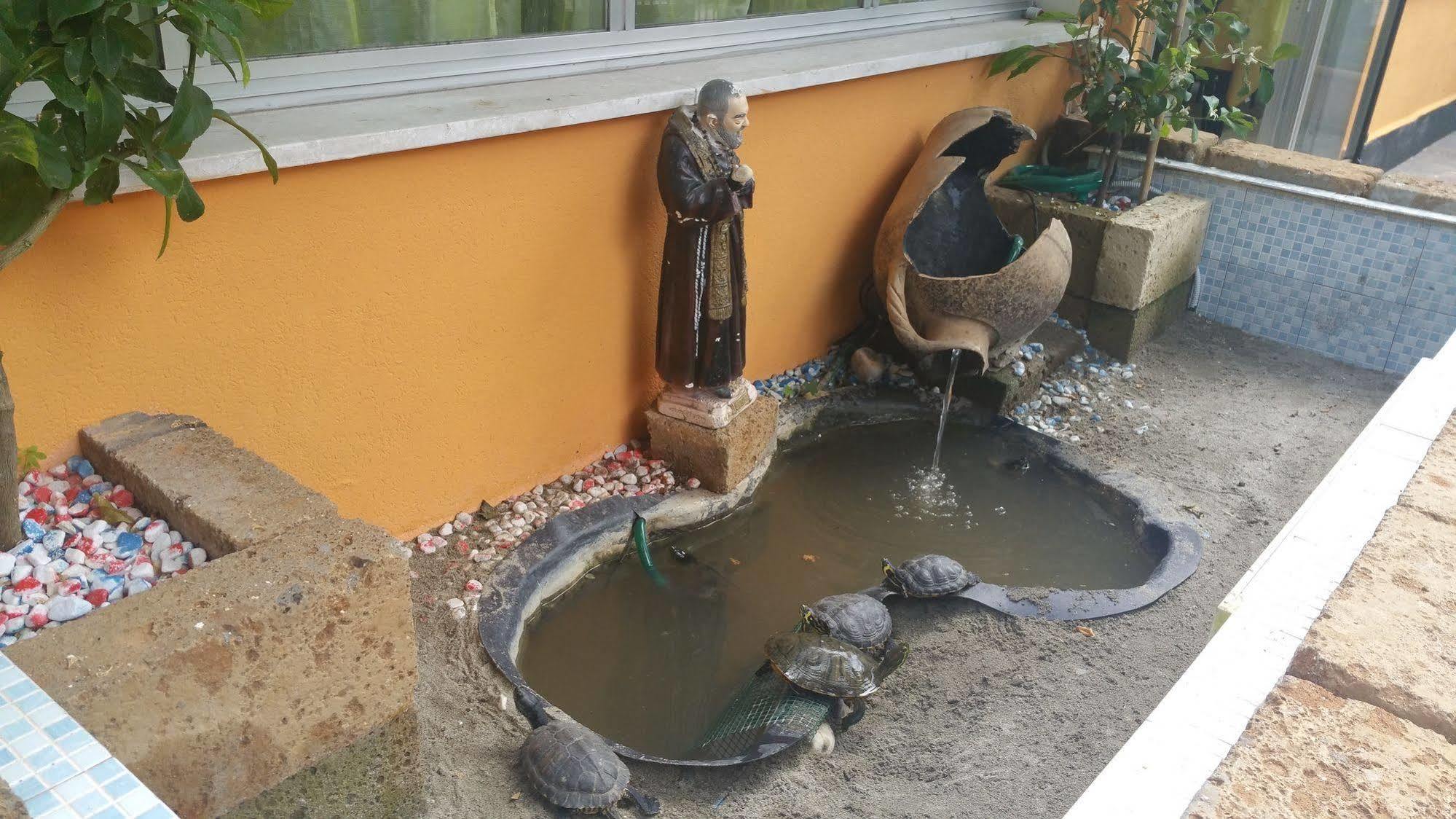 Hotel Villa Lorena Rimini Dış mekan fotoğraf